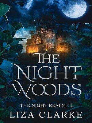 cover image of The Night Woods